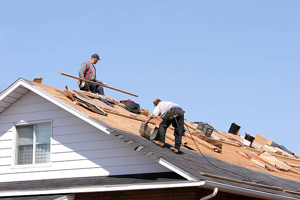 Best Siding Services  in Maurice, LA